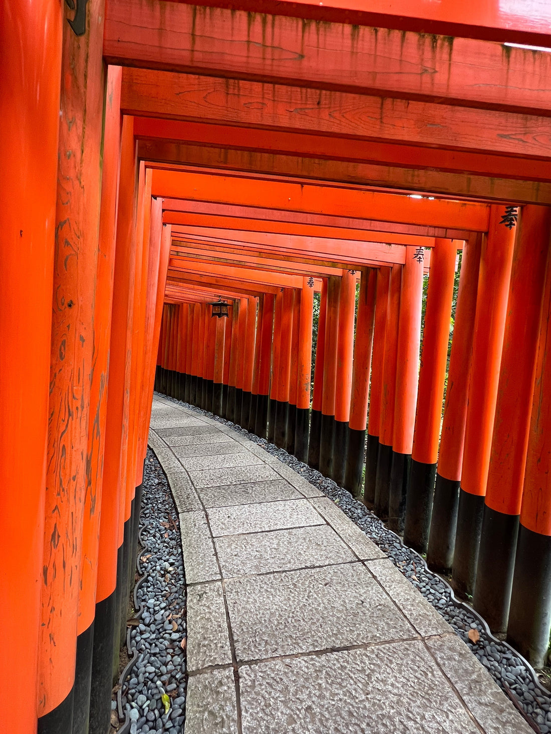 Kyoto Blog Teil 5 – Fushimi Inari-Taisha: Der Schrein der tausend Tore