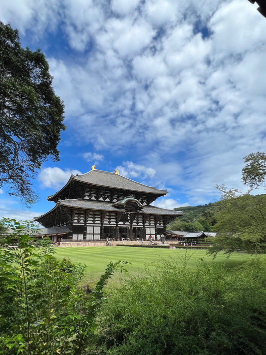 Tagesausflug nach Nara: Rehe, Tempel und Tradition