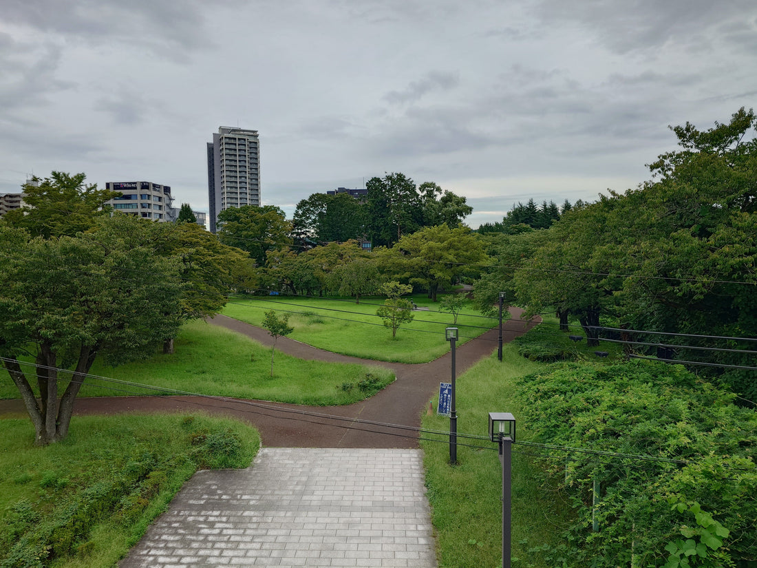Entdecke Sendai: Kultur, Natur und Geschichte in Nishi Park und dem Stadtmuseum