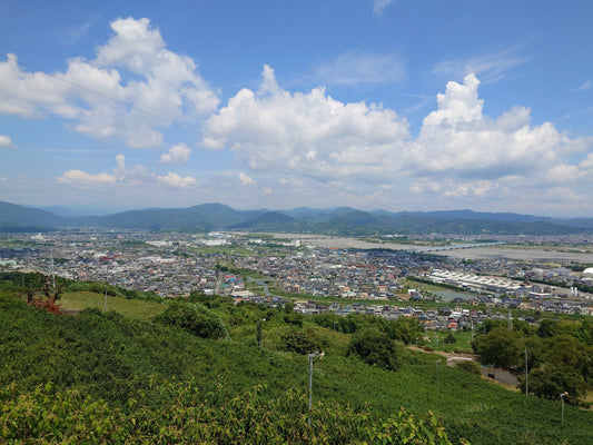 Ein Ausflug nach Shizuoka: Grüntee, Geschichte und Genuss