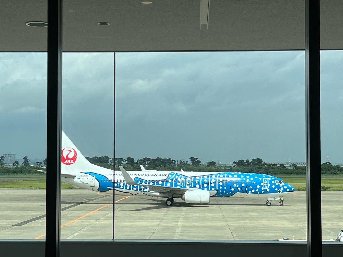 Japan Airlines JAL: Service, Hubs und Ziele, so fühlt sich Fliegen nach Japan an