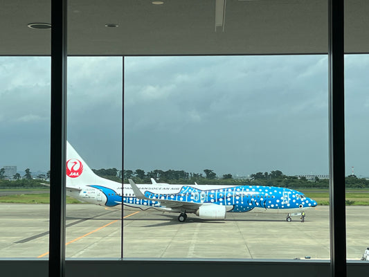 Japan Airlines JAL: Service, Hubs und Ziele, so fühlt sich Fliegen nach Japan an