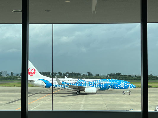 Günstig nach Japan fliegen Preise Airlines Buchungstipps