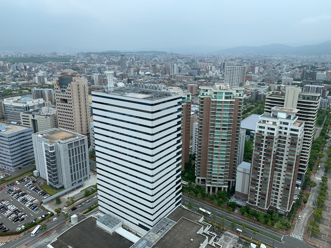 Fukuoka: Meereswelt & Stadtpanorama erleben – Ein perfekter Tagesausflug bei Regen