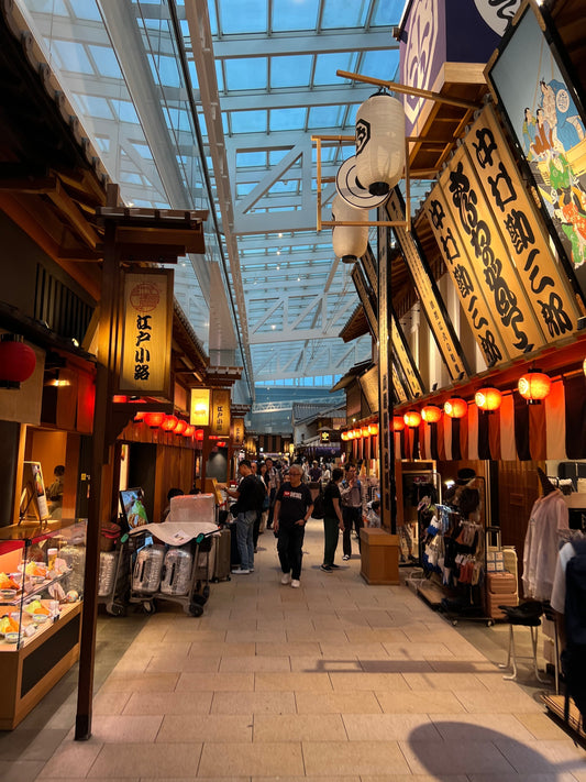 Haneda oder Narita? Welcher Flughafen in Tokio ist der bessere?