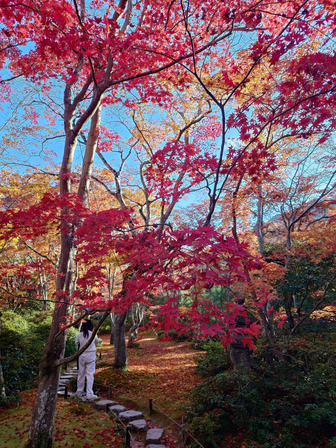 Herbst in Japan: Die Magie der Kansai Region