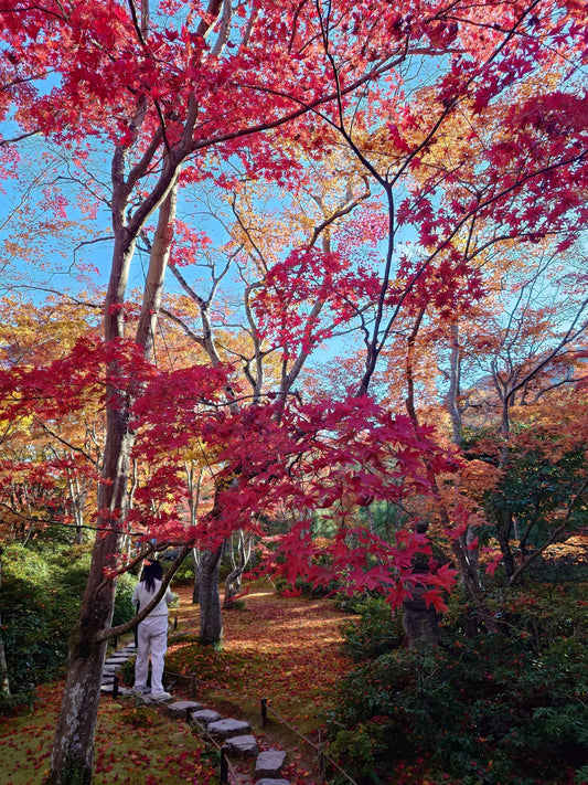 Herbst in Japan: Die Magie der Kansai Region