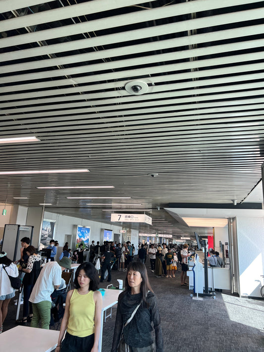 Kagoshima Airport: So kommst du in die Stadt, was den Flughafen besonders macht und wohin du fliegen kannst