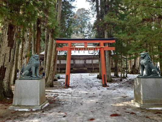Koya san: Tempelstadt im Wald, Shukubō Nächte, Kongōbu ji, Danjō Garan und Okunoin Gräber