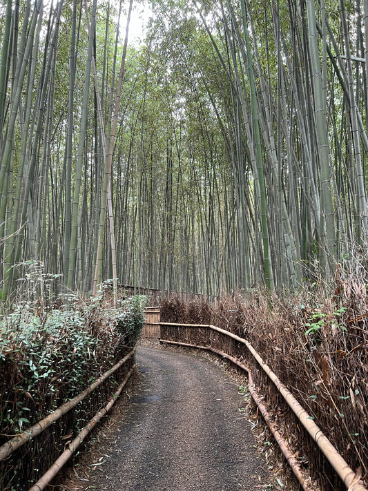 Arashiyama in Kyoto
