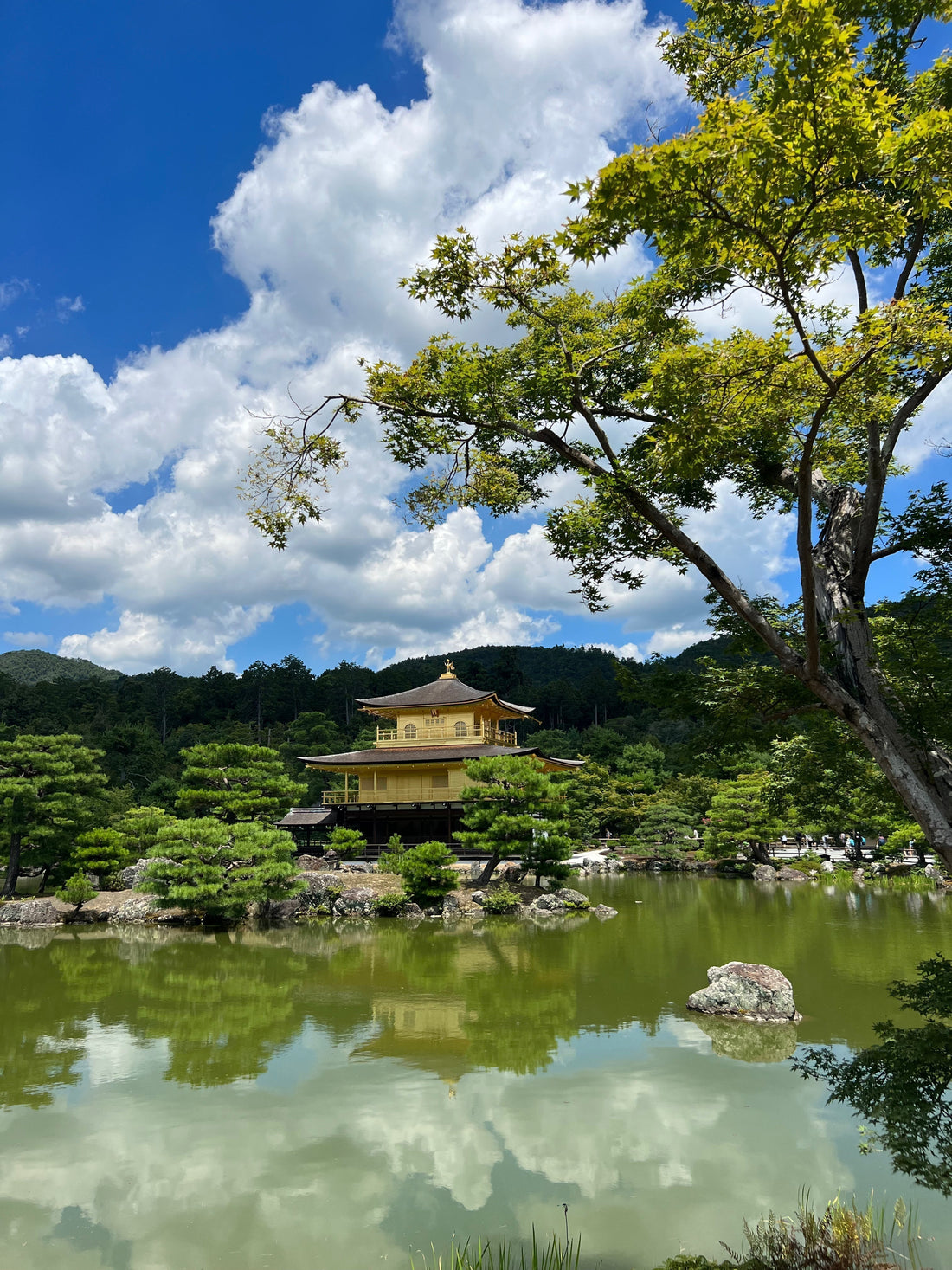 Kinkaku-ji, der Goldene Pavillon in Kyoto
