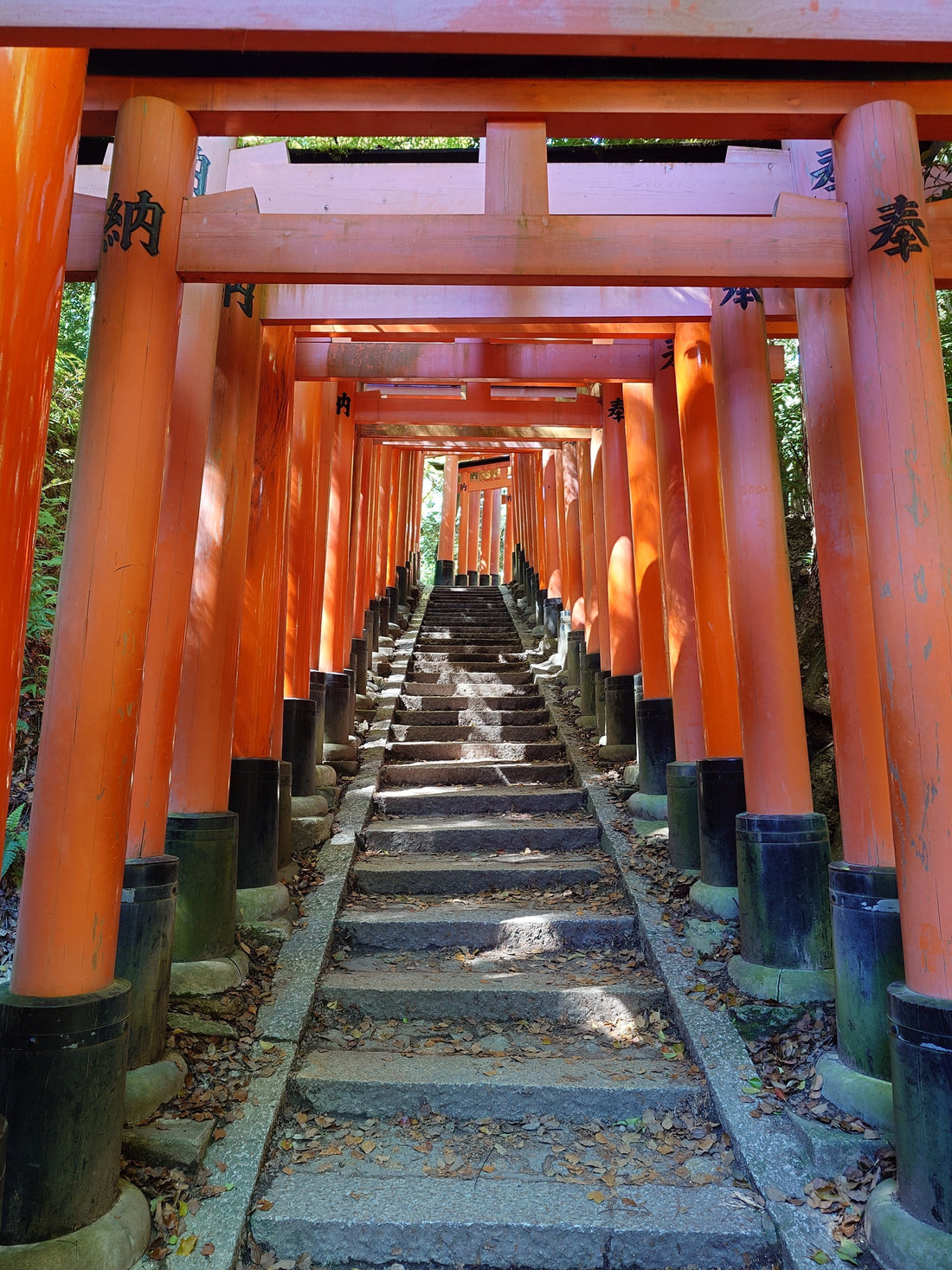 Rote Torii-Tore in Kyoto