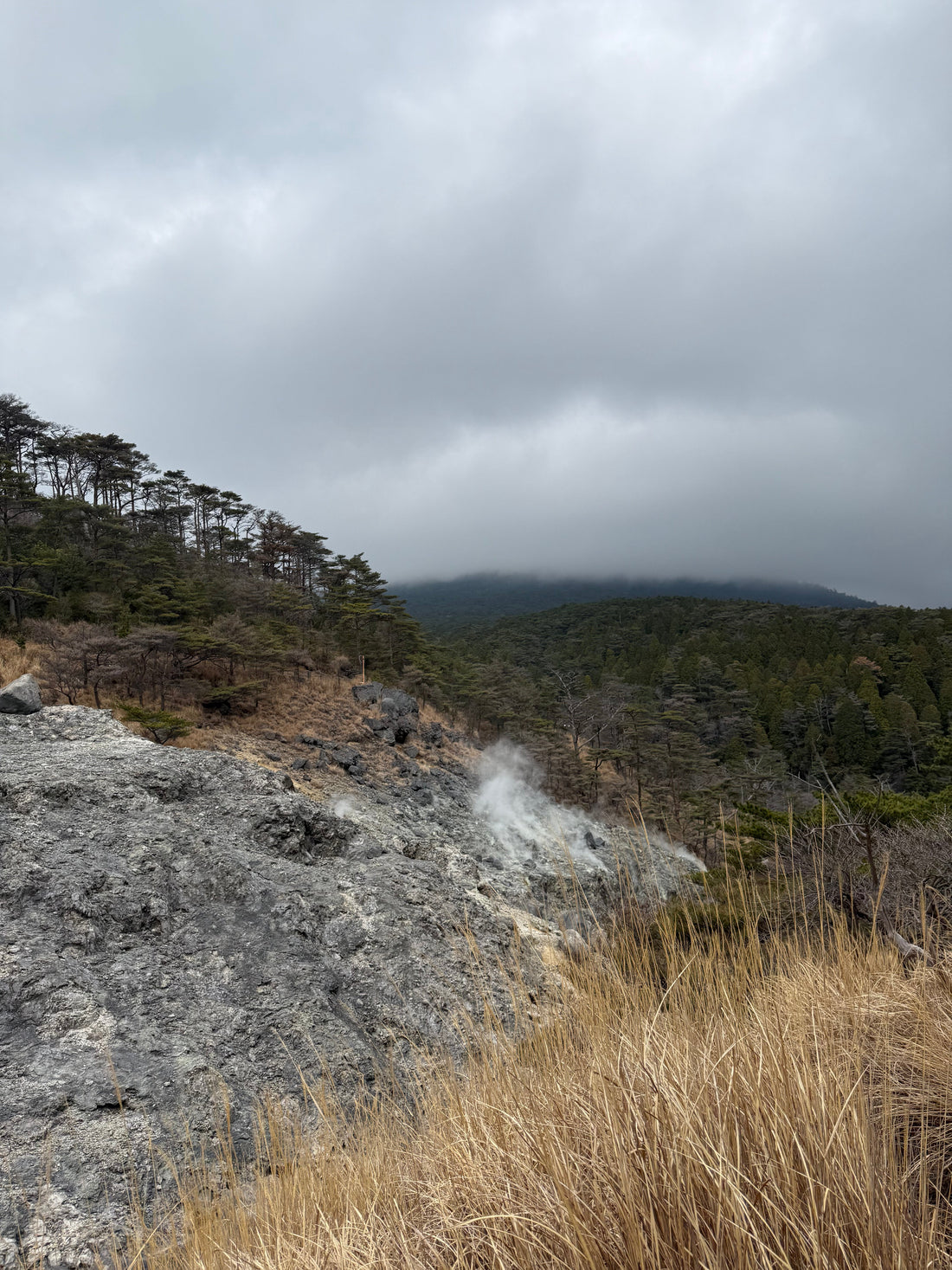 Vulkanlandschaft bei Ebino Kogen in Miyazaki