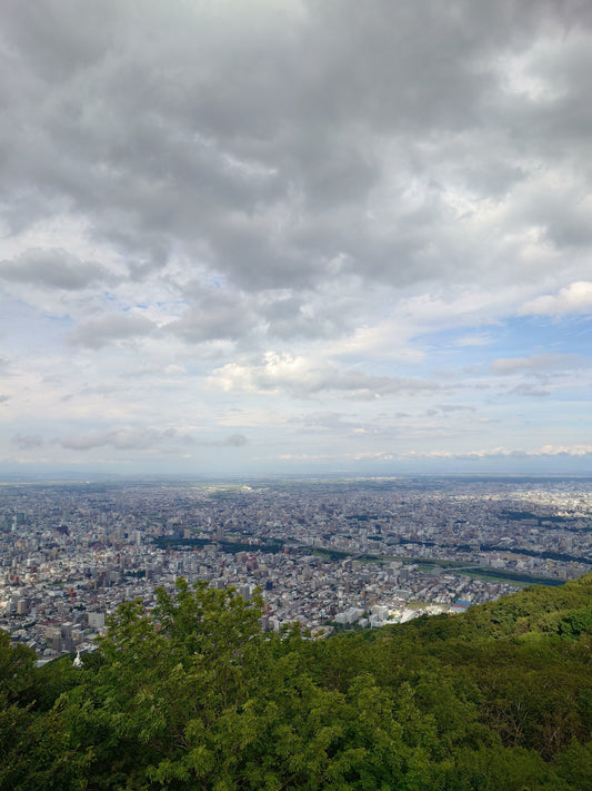 Sapporo entdecken: Jyogai Ichiba, Botanischer Garten & Mount Moiwa