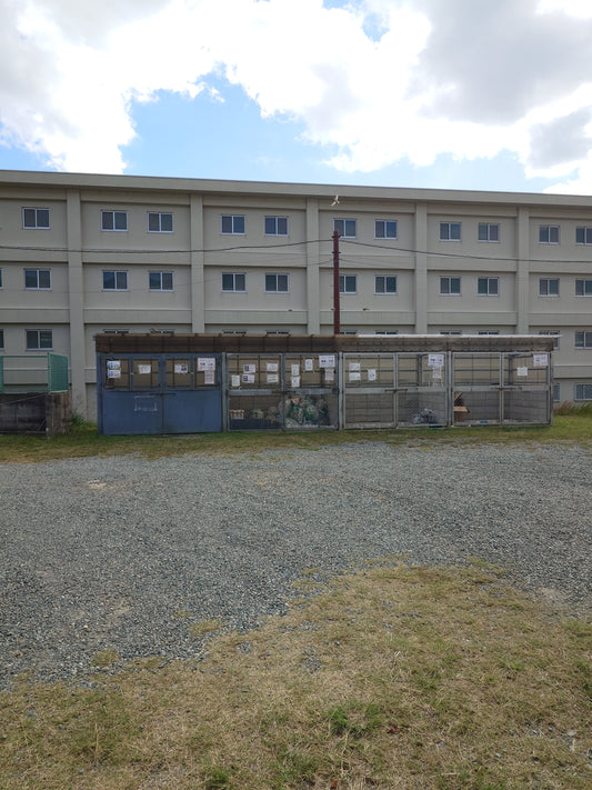 Müllablagestelle in Japan