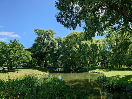 Sapporo erleben: Nakajima Park, Sapporo Beer Museum und Tanukikoji Shopping Street entdecken