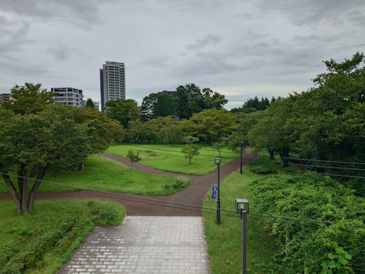 Entdecke Sendai: Kultur, Natur und Geschichte in Nishi Park und dem Stadtmuseum