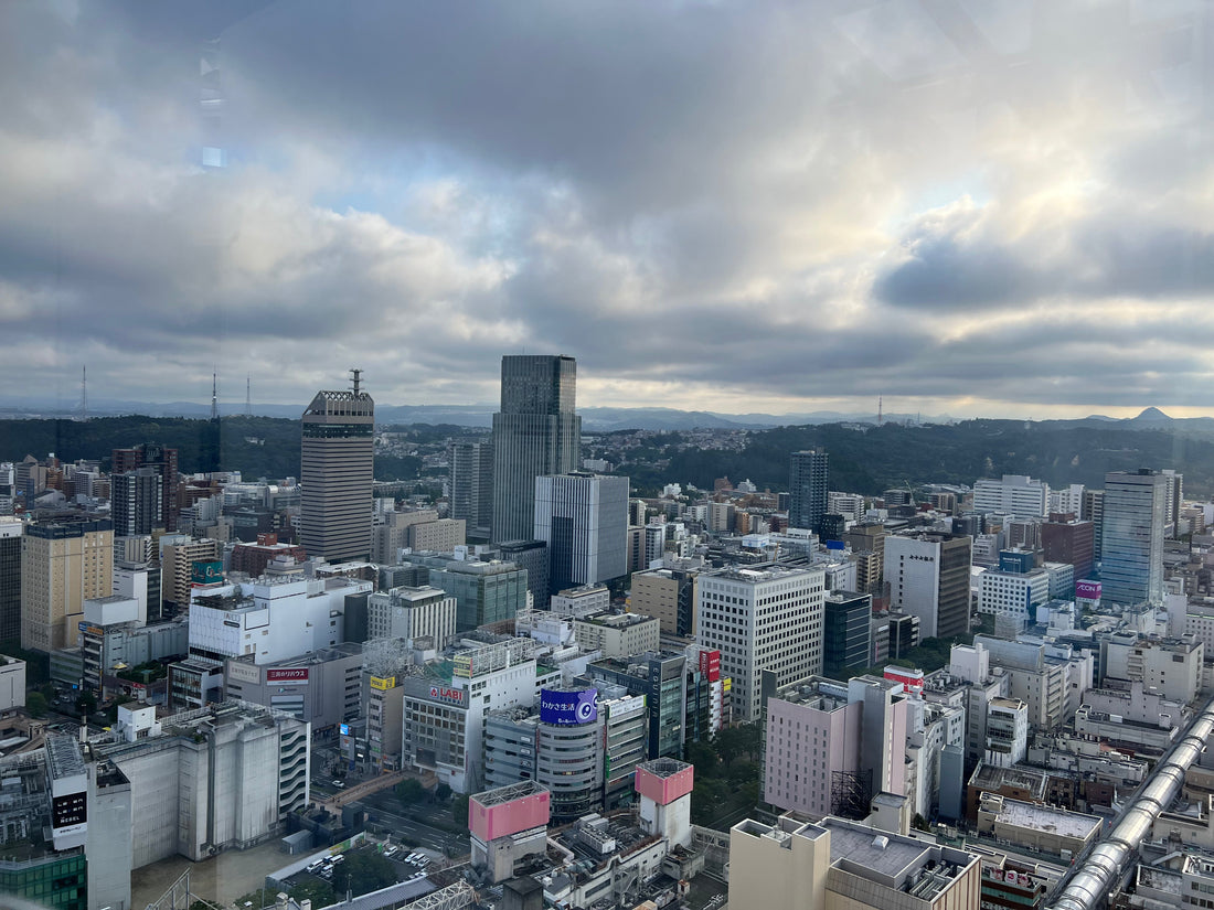 Sendai erleben – Aussicht, Ramen & ein selbst bemalter Bär