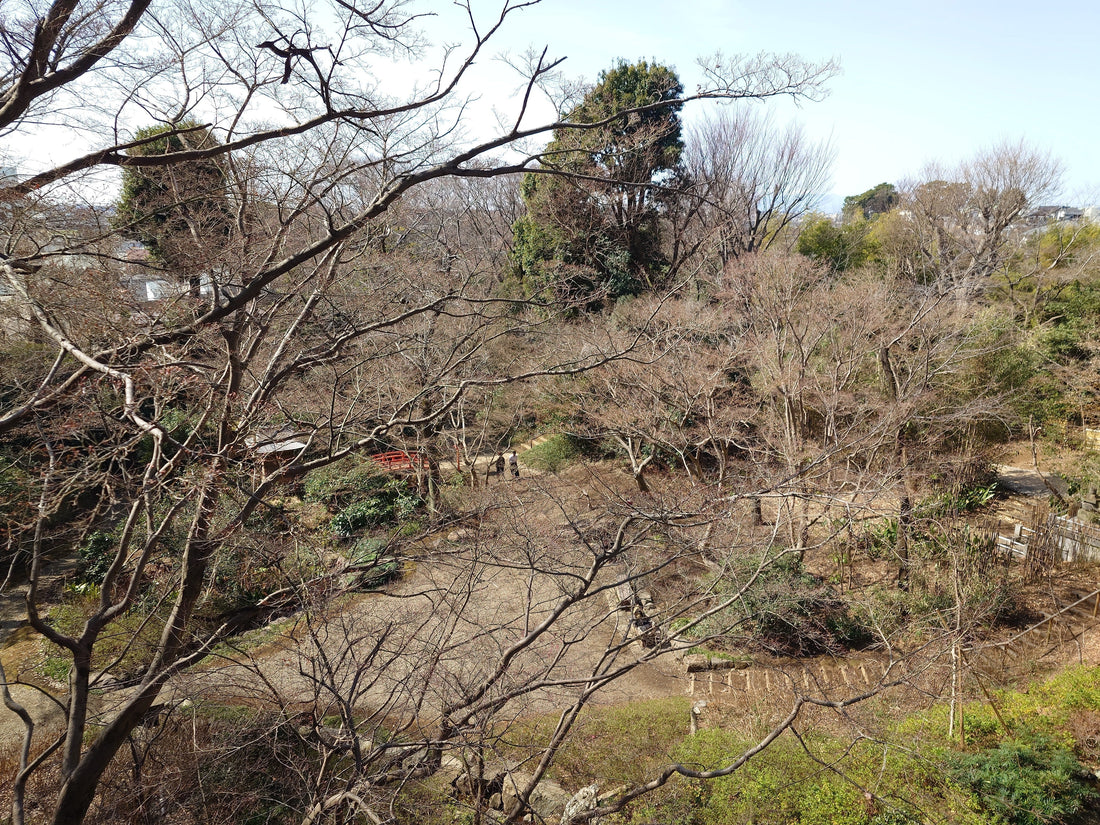 Grüne Schlucht mit Bachlauf im Todoroki-Tal in Setagaya, Tokio