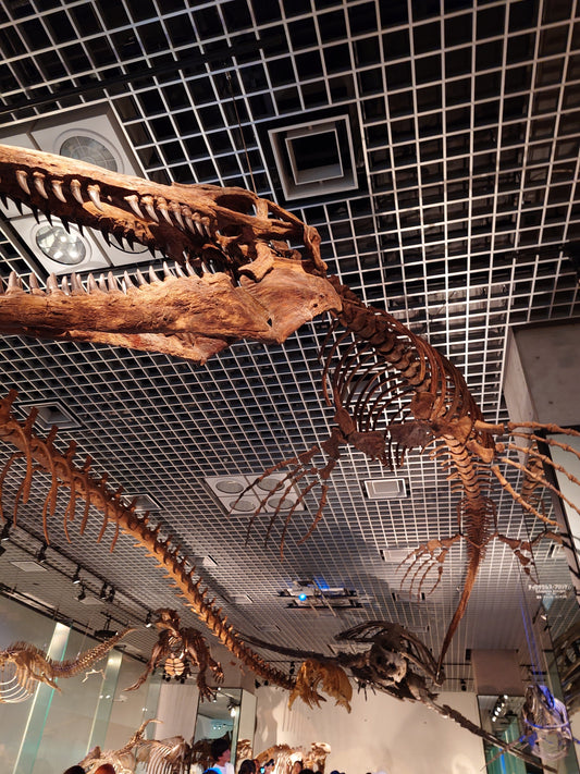 Top 5 Museen in Tokio 2024: Preise, Öffnungszeiten, Tickets, Tipps