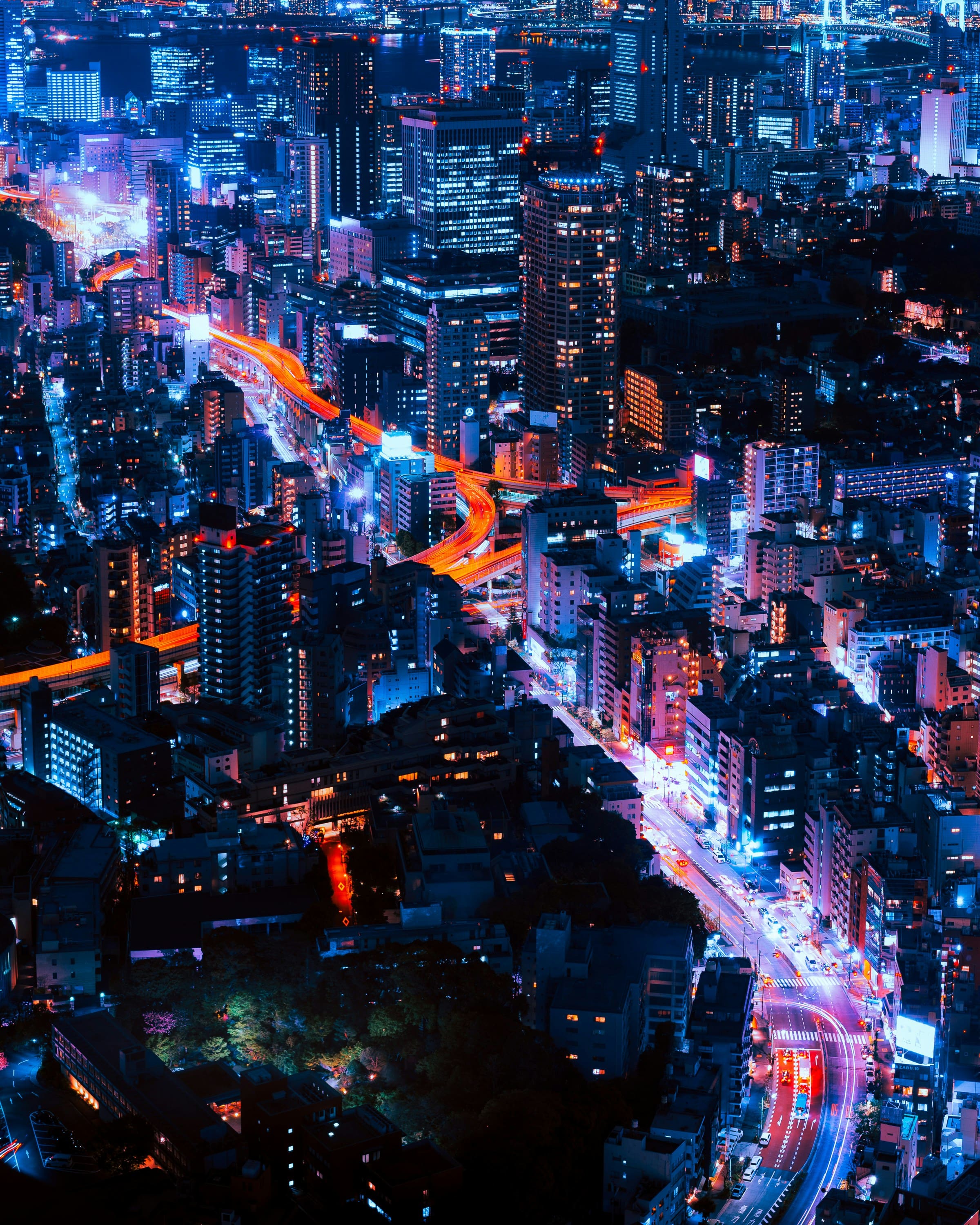 Eine nächtliche Stadtansicht von Tokyo mit leuchtenden Neonlichtern in Blau- und Rottönen. Helle Straßen durchziehen die dichte Ansammlung von Wolkenkratzern und Wohngebäuden, während die Stadt in lebendigem Licht und Schatten erstrahlt. Im Vordergrund befinden sich grüne Parkflächen, umgeben von der urbanen Struktur.